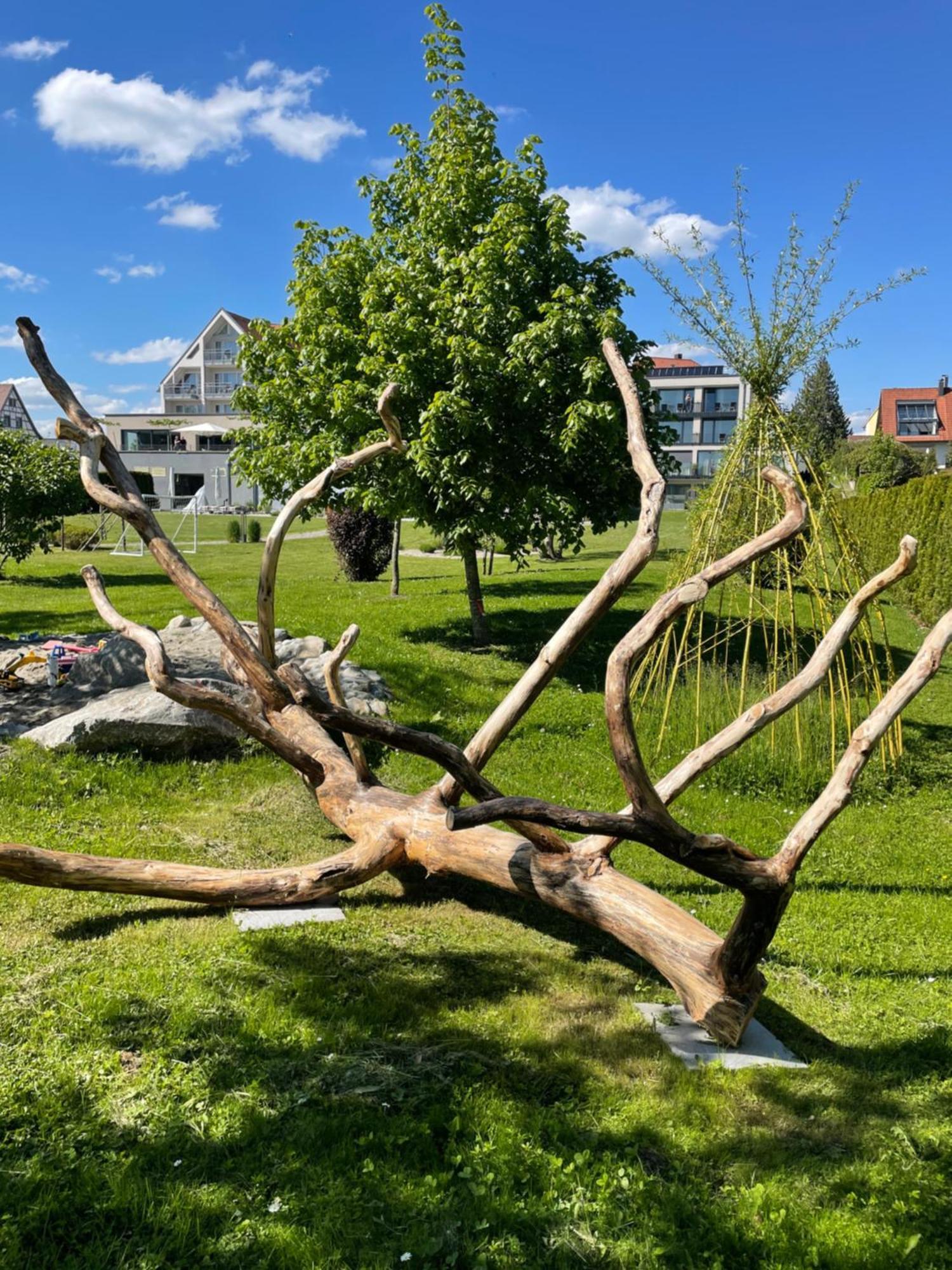 Hotel Traube Am See Фрідріхсгафен Екстер'єр фото